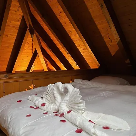 Boutique B21 Nyaraló Unterseen